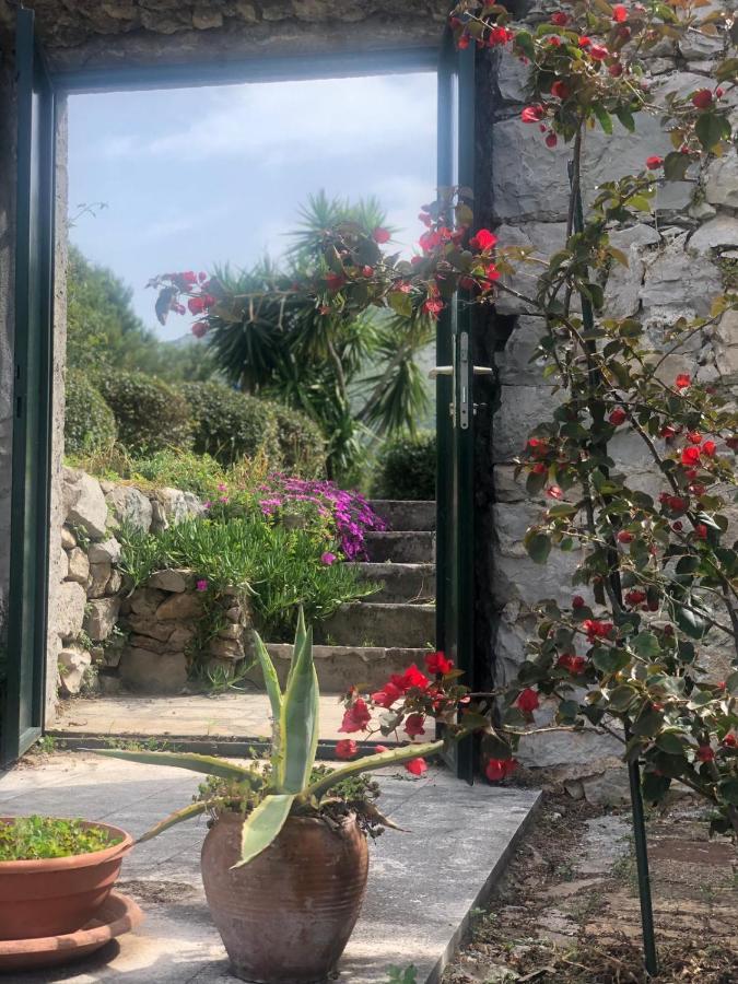 Charming Apartment For 3 Pax In Cavtat Exterior foto